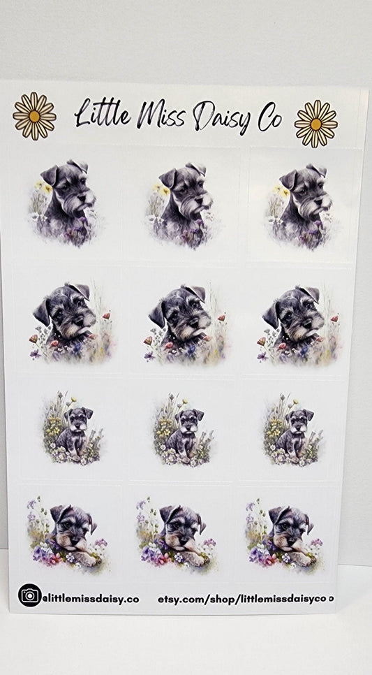 Schnauzer Baby Stickers